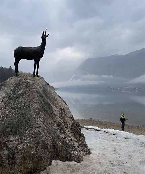 bohinj slovenia