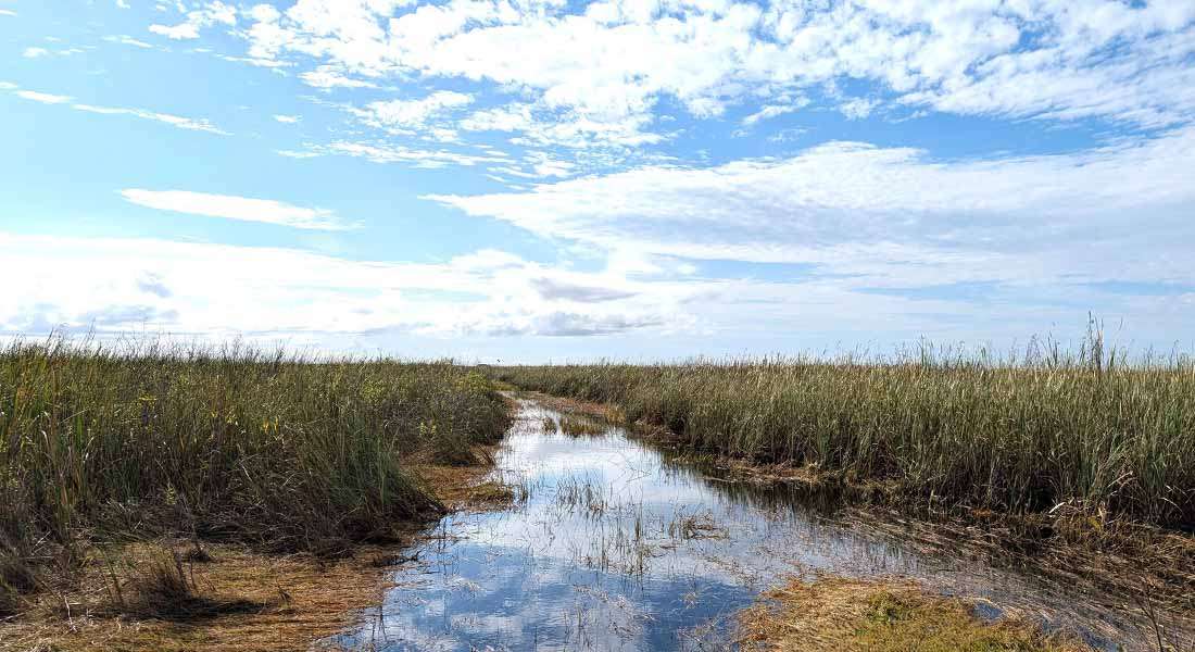 everglades airboat tours