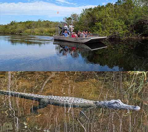 Everglades: vožnja brodom pokraj aligatora i krokodila