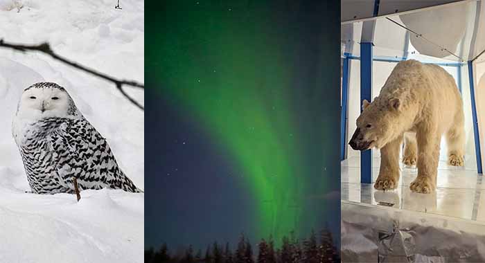 Rovaniemi: polarna svjetlost, muzej, polarni ZOO i mongolski šator