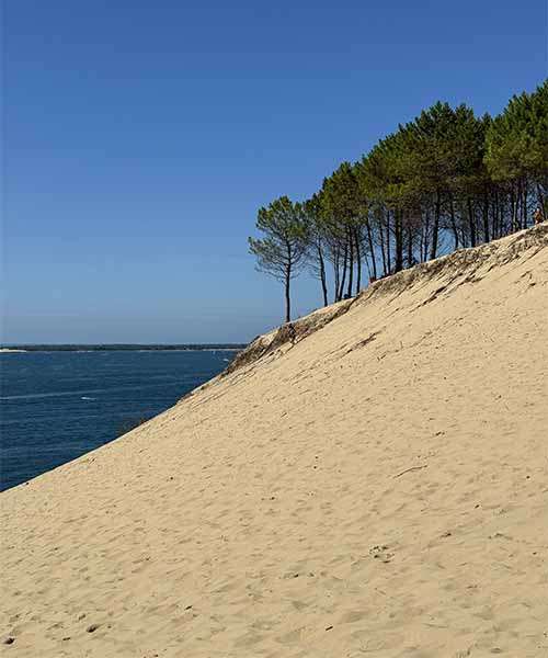 Pješčana dina