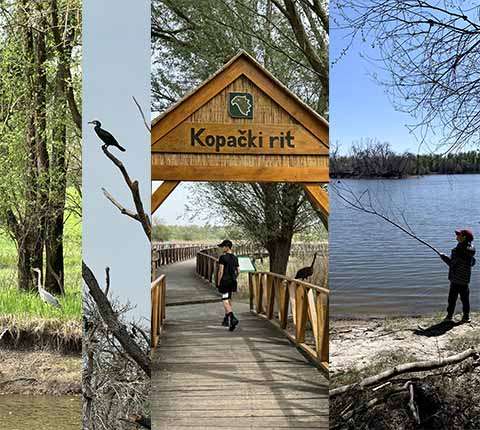 Izlet u Kopački rit: sve što trebate znati