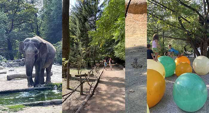 ZOO Ljubljana: super izlet s djecom