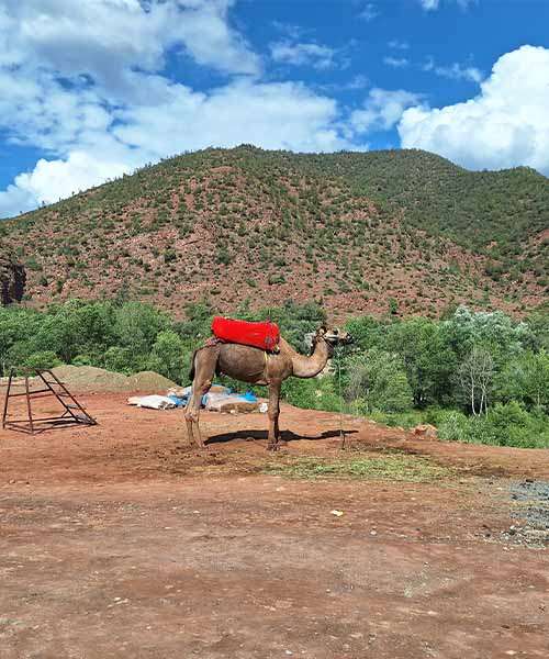 ourika valley morocco
