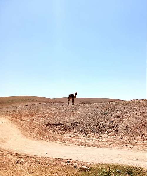agafay desert