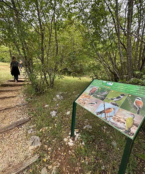 Pećinski park Grabovača